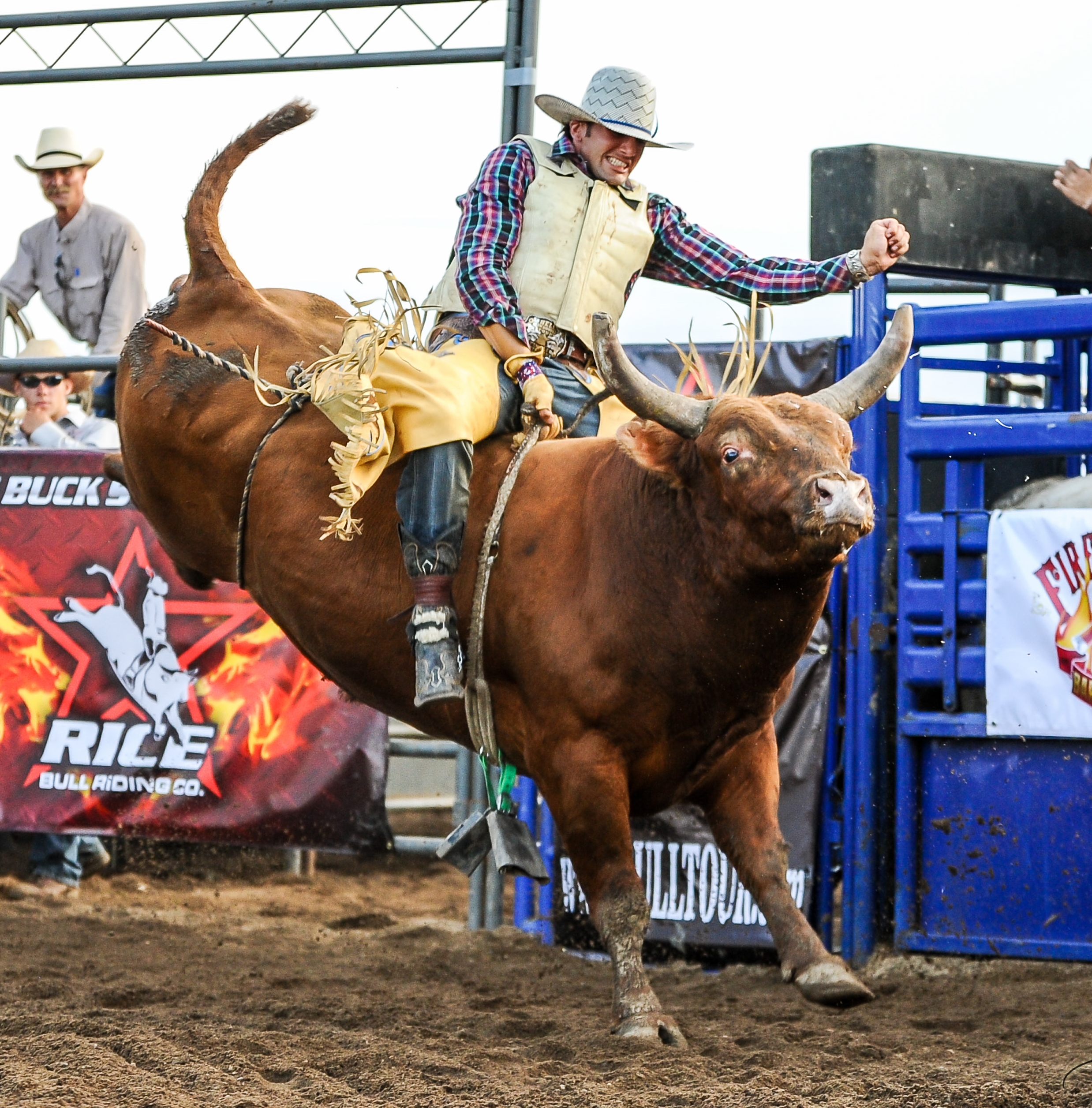 Pictures - Rice Bull Riding Company